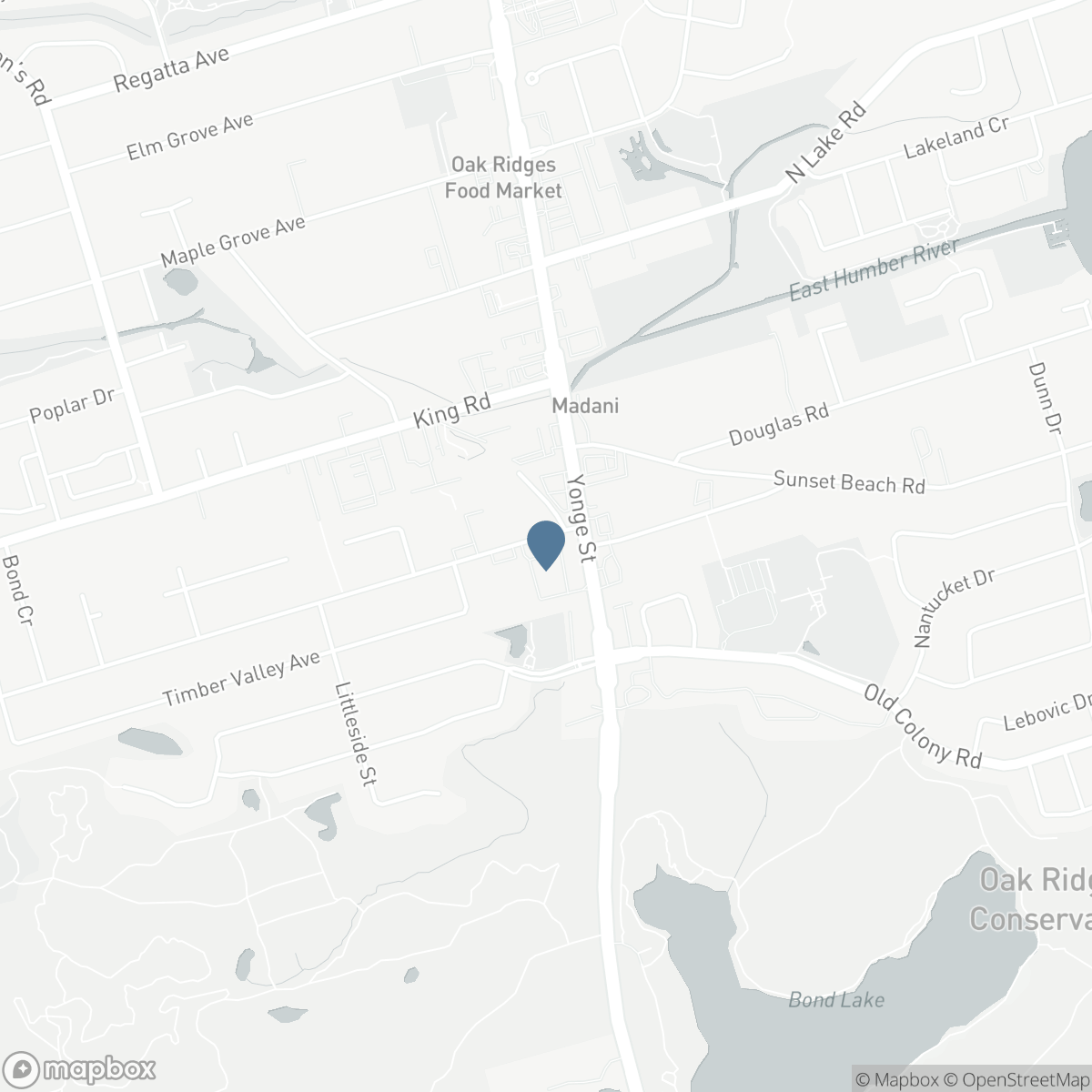 5 - 1 BOND CRESCENT, Richmond Hill, Ontario L4E 1J4
